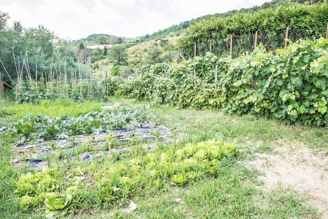 Estate in Umbertide, Umbria, Italy 3 - 12684236
