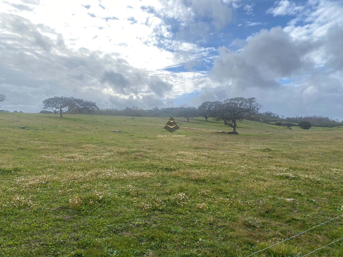 Land in Ourique, Beja District, Portugal 5 - 12688406