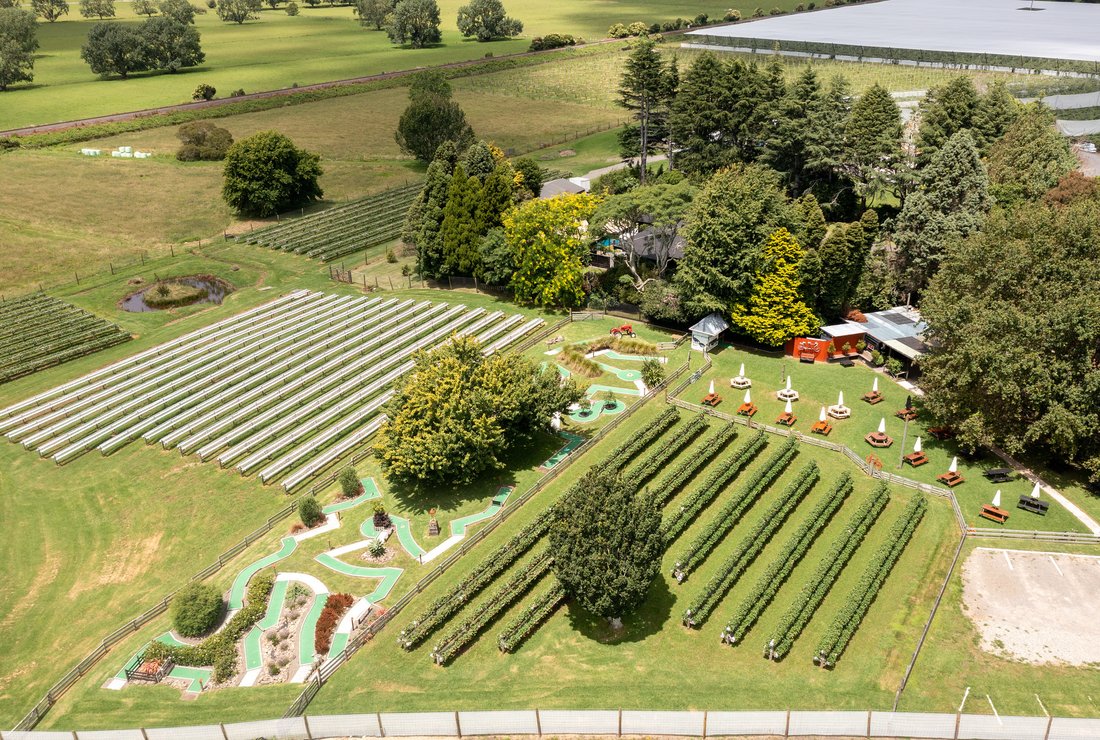 529 B Te Puke Highway In Te Puke, Bay Of Plenty, New Zealand For Sale