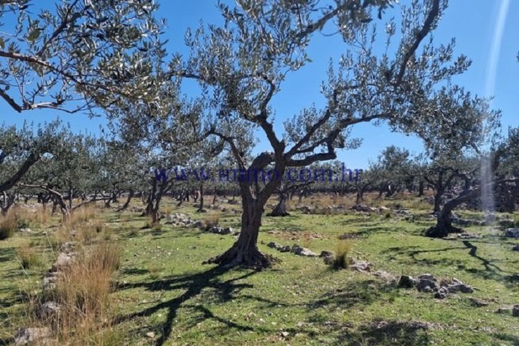 Land in Sutivan, Split-Dalmatia County, Croatia 2 - 12695406