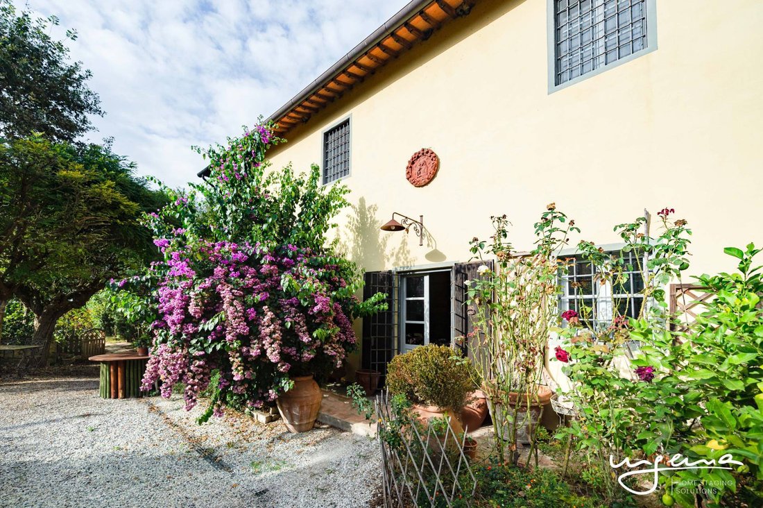 Vecchiano, Tuscany, Italy 1 - 12698258