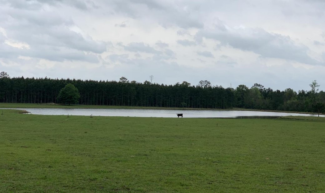 220 Plus Acre Property In Dry Creek, Louisiana, United States For Sale