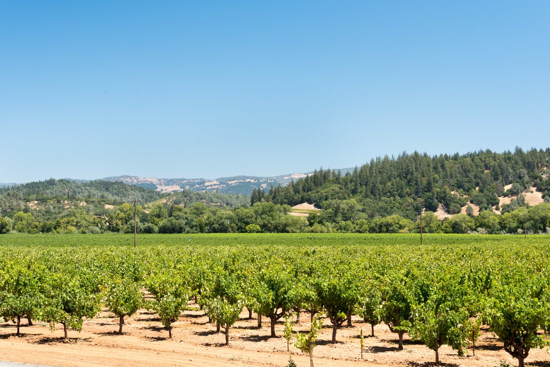 8236 West Dry Creek Road, Healdsburg, In Healdsburg, California, United