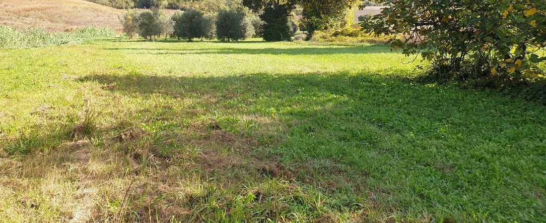 Country House in Casciana Terme Lari, Tuscany, Italy 2 - 12723548