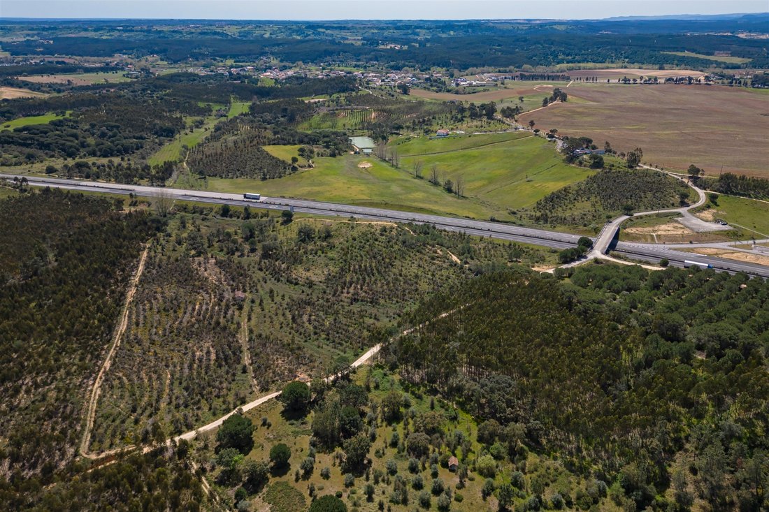 Farm Ranch in Sao Joao da Ribeira e Ribeira de Sao Joao, Santarem District, Portugal 4 - 12724579