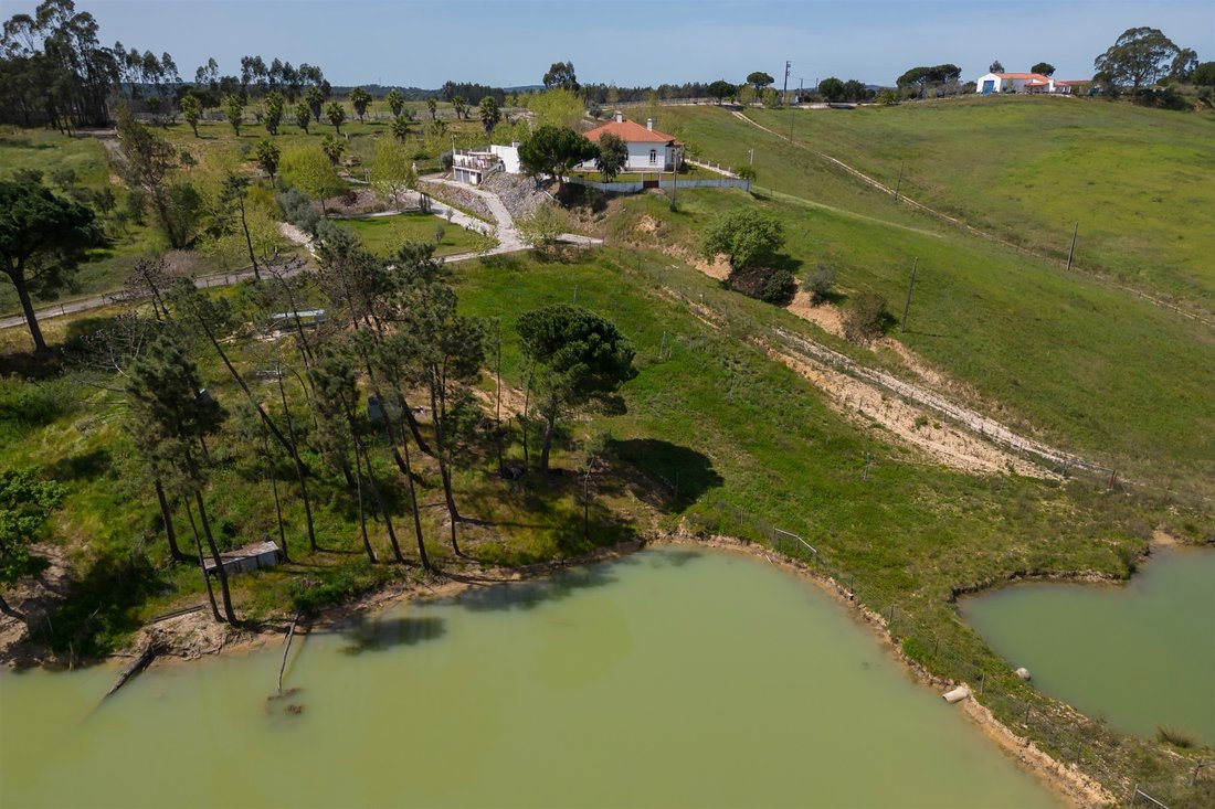 Farm Ranch in Sao Joao da Ribeira e Ribeira de Sao Joao, Santarem District, Portugal 5 - 12724579