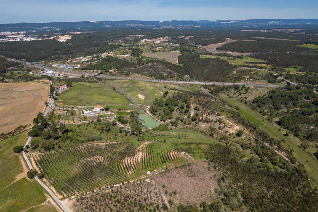 Farm Ranch in Sao Joao da Ribeira e Ribeira de Sao Joao, Santarem District, Portugal 1 - 12724579