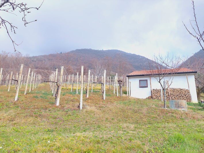 Land in Sarmede, Veneto, Italy 5 - 12724525