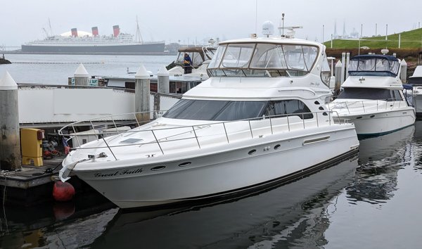 Sea Ray 560 Sedan Bridge (12725882)