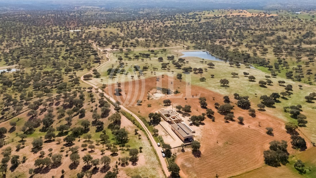 Estate, With Villa Plus Ateliers, In In Salvada, Beja District