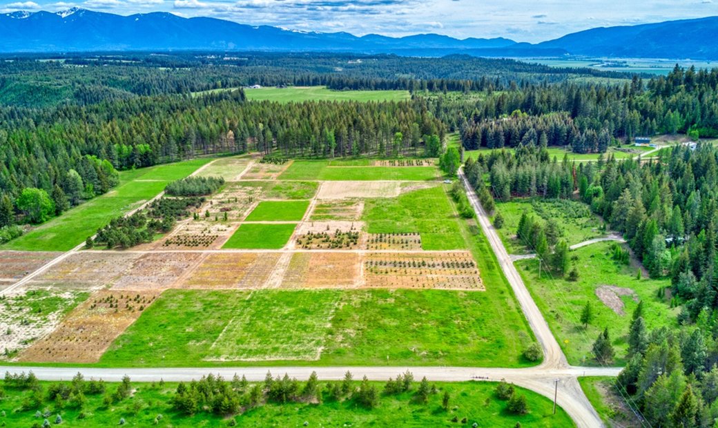 30 Producing Acres In Bonners In Bonners Ferry, Idaho, United