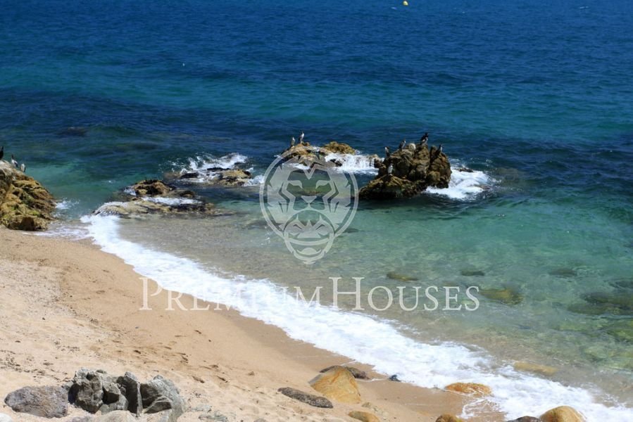 Land in Spain 3 - 10609693
