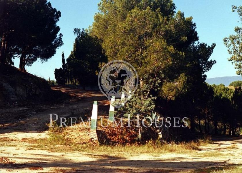 Land in Spain 4 - 10609693