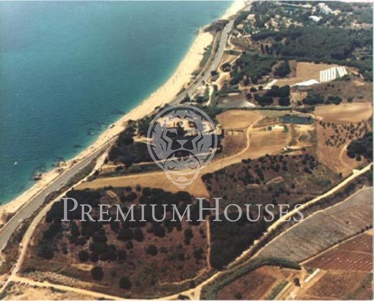 Land in Spain 2 - 10609693