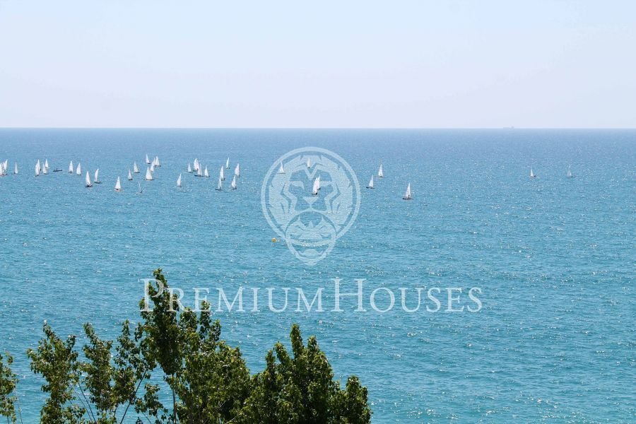 Land in Spain 1 - 10609693