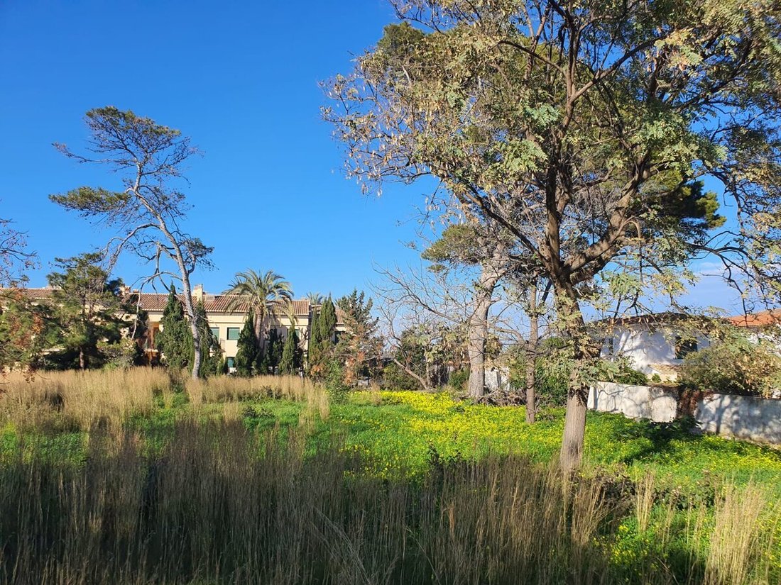 Land in Costa Blanca, Valencian Community, Spain 4 - 12729840