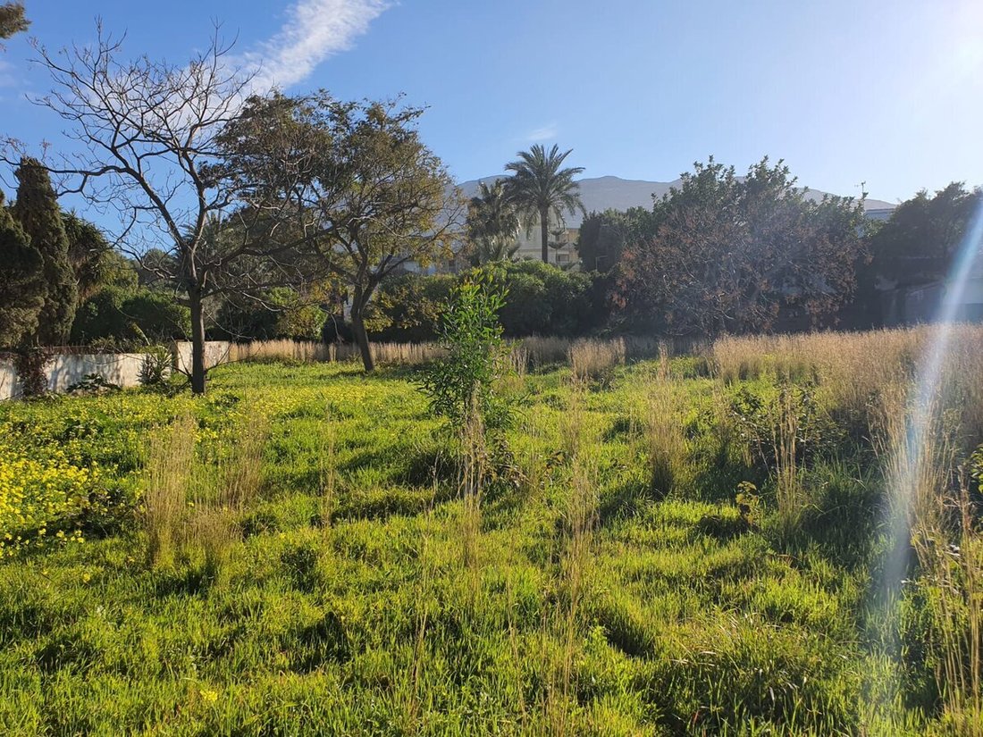 Land in Costa Blanca, Valencian Community, Spain 3 - 12729840