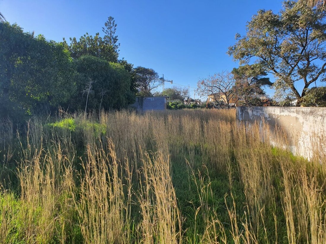 Land in Costa Blanca, Valencian Community, Spain 5 - 12729840