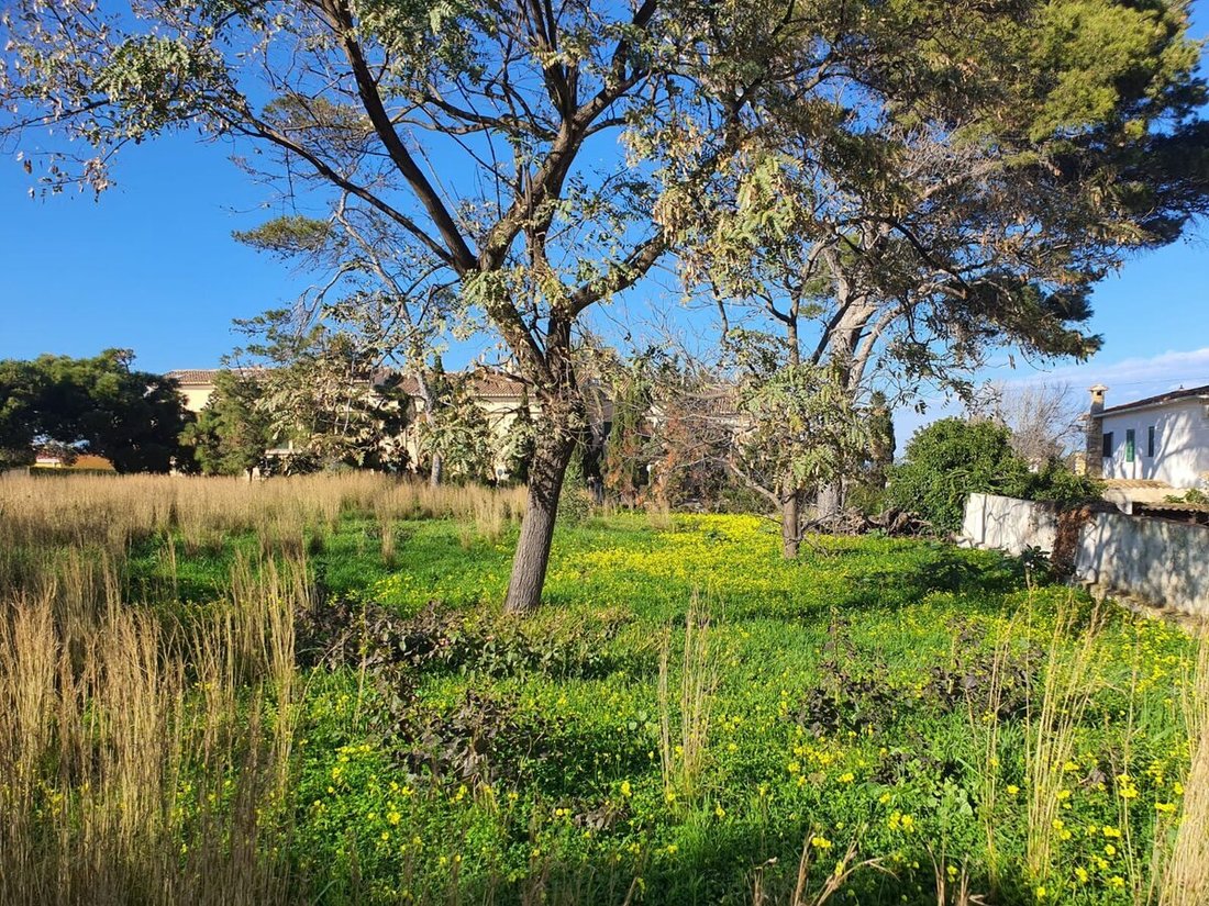 Land in Costa Blanca, Valencian Community, Spain 1 - 12729840