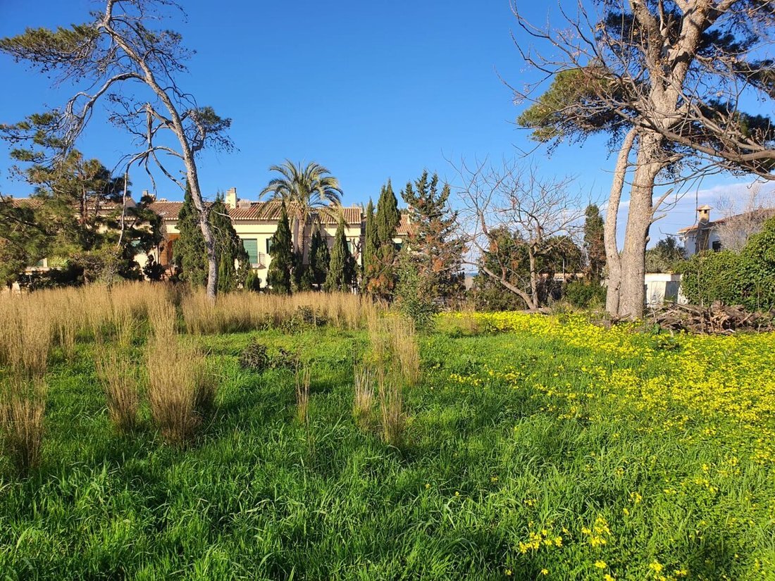 Land in Costa Blanca, Valencian Community, Spain 2 - 12729840