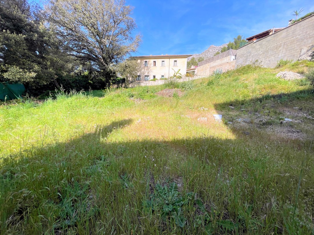 Land in Pollenca, Balearic Islands, Spain 3 - 12730450