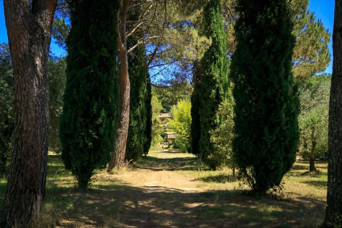 Casa de Campo en Toscana, Italia 5 - 12738166