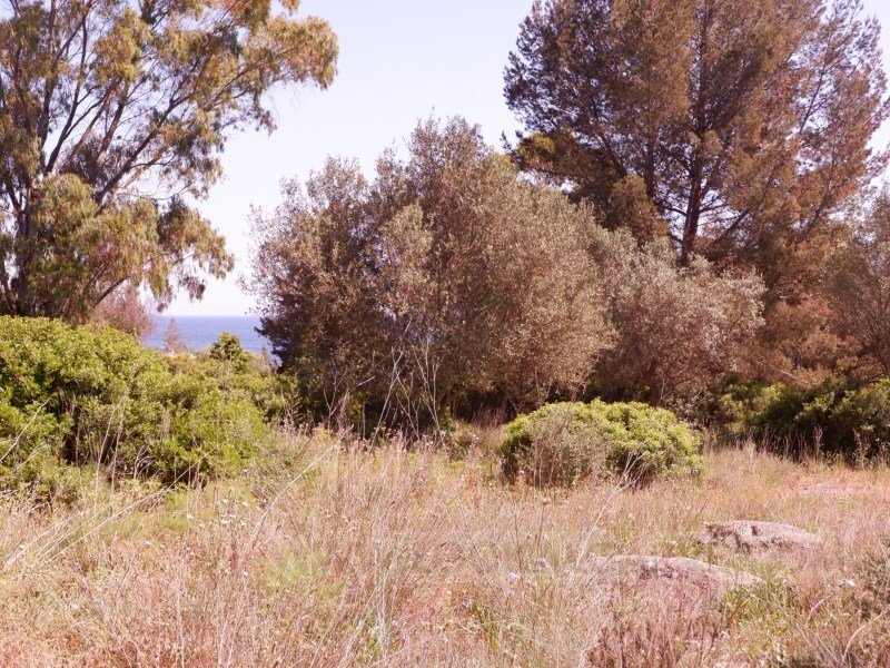 Plot Of Land With Sea View In Lagos, Algarve, Portugal For Sale (12738532)