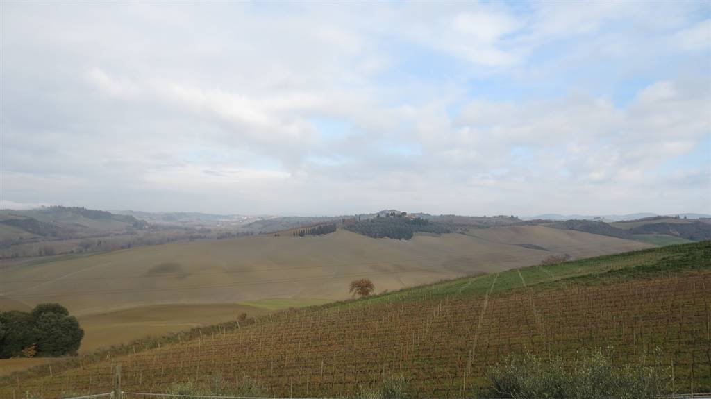 Farm Ranch in Montalcino, Tuscany, Italy 5 - 12741451