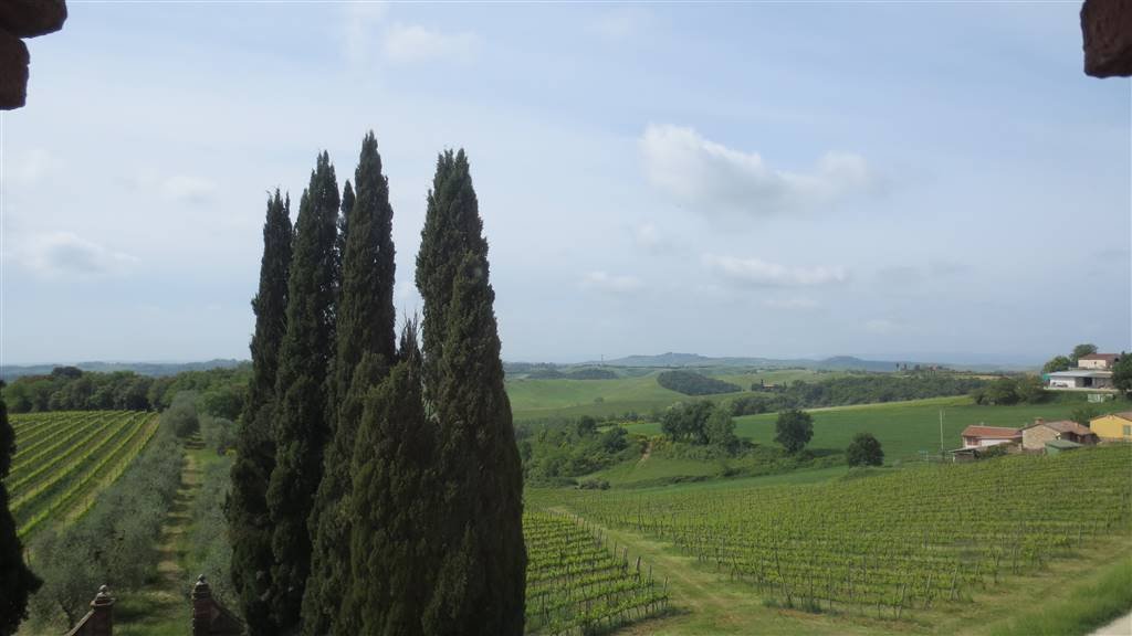 Villa in Castelnuovo Berardenga, Tuscany, Italy 5 - 12741470
