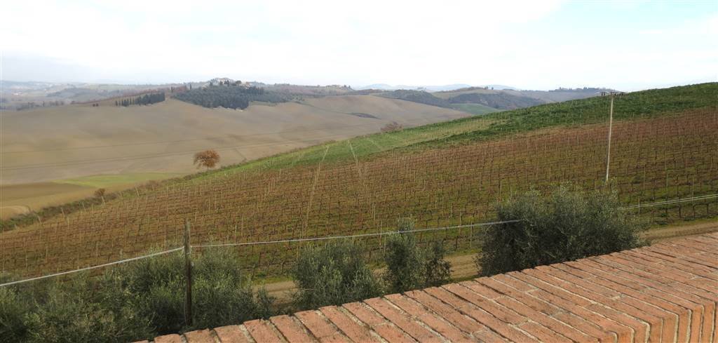Farm Ranch in Montalcino, Tuscany, Italy 1 - 12741451
