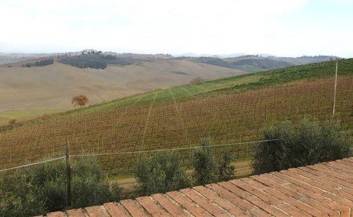 Montalcino, Tuscany, Italy 1