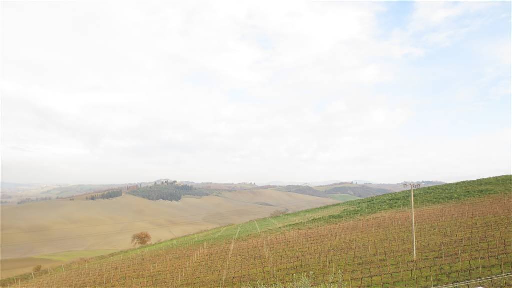 Farm Ranch in Montalcino, Tuscany, Italy 4 - 12741451