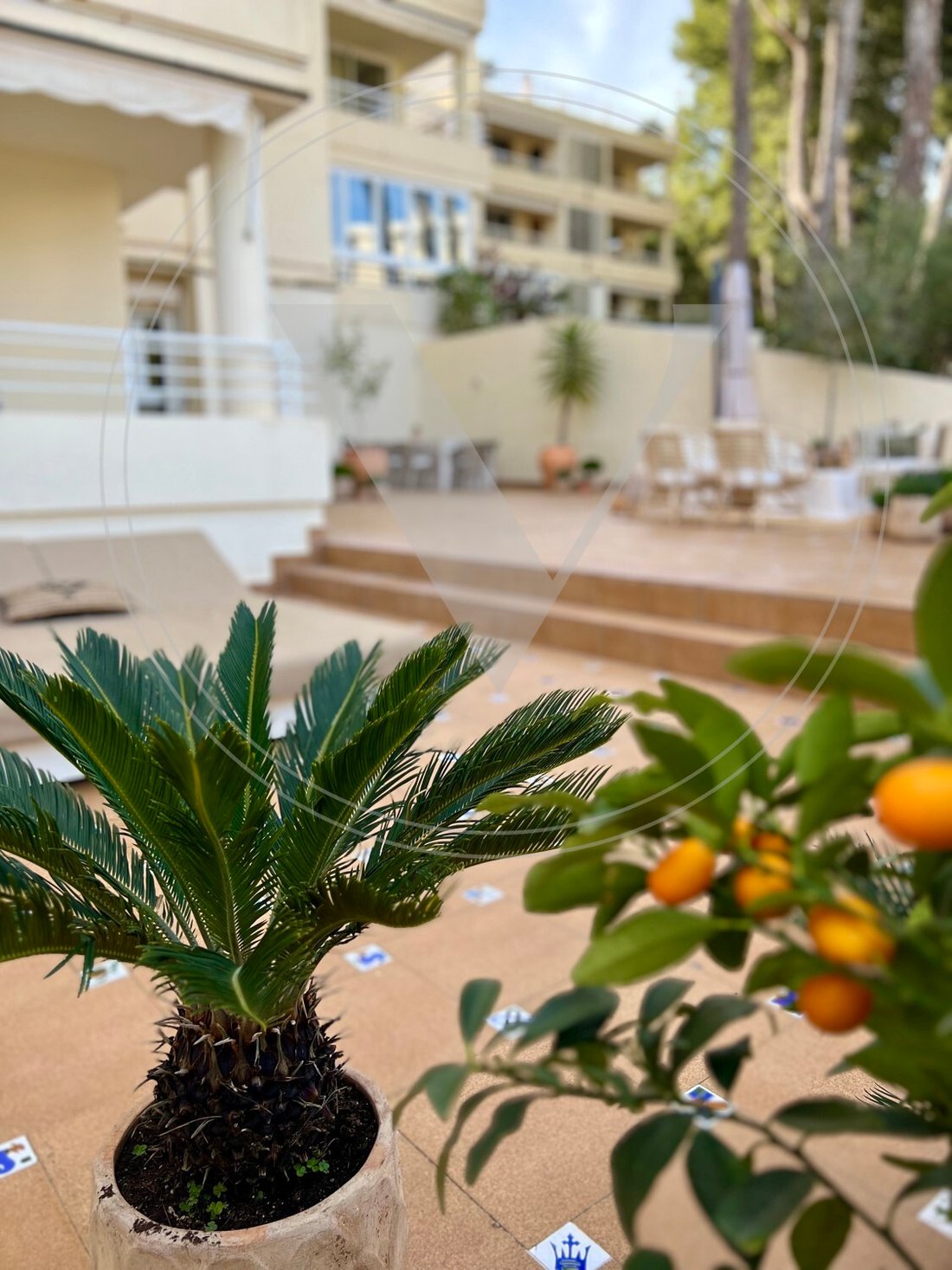 Apartment in Cas Catala, Calvia, Balearic Islands 5 - 12742848