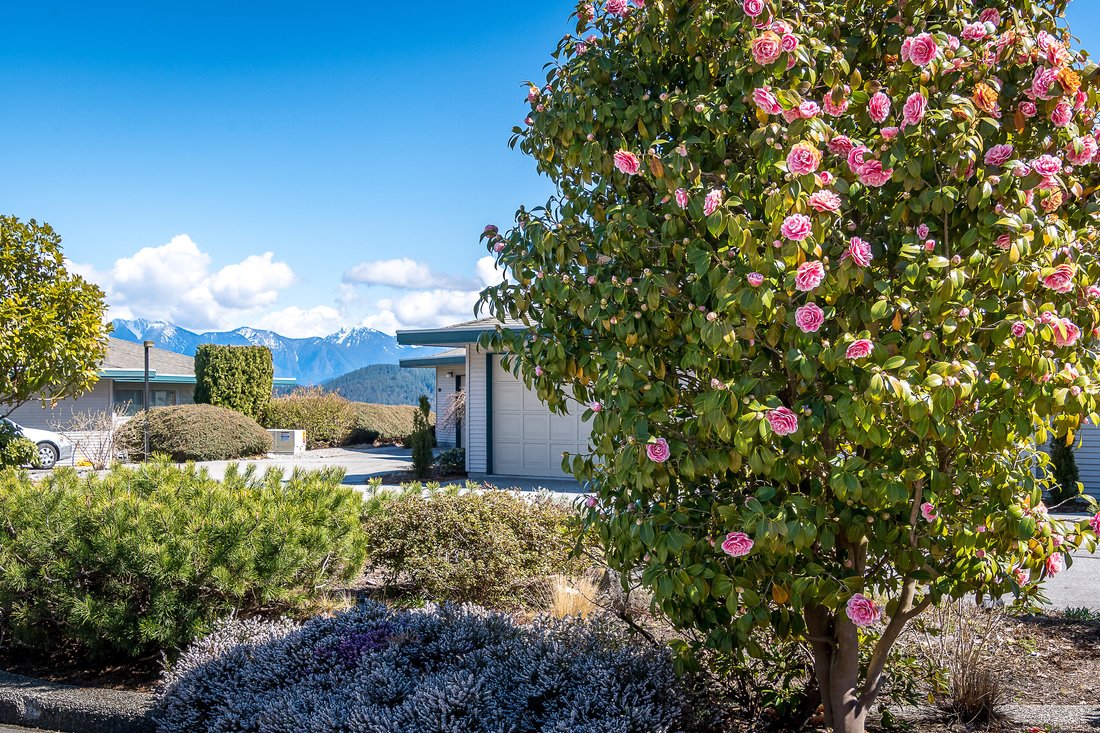 Gibsons, Sunshine Coast In Gibsons, British Columbia, Canada For Sale (12742140)