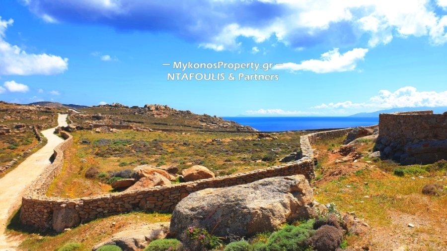 Mykonos, Aegean, Greece 2 - 12472053