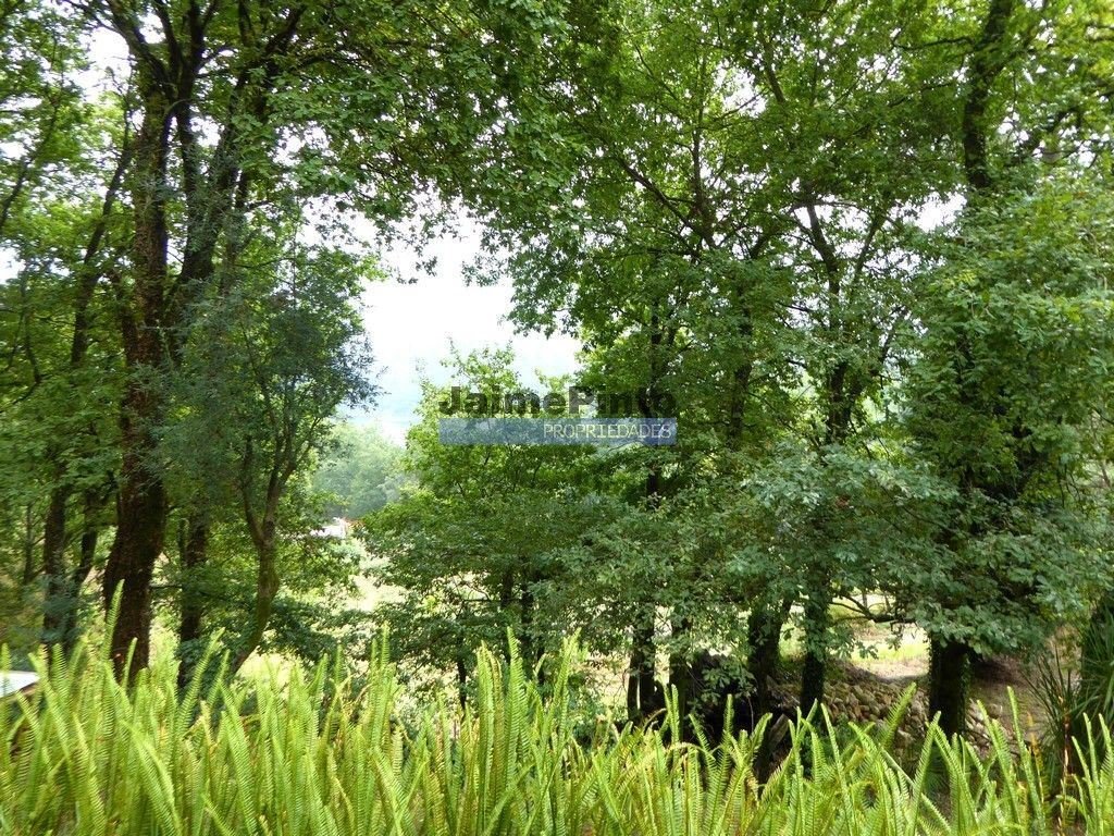 Terras De Bouro Villa In Campo Do Gerês, Braga, Portugal For Sale