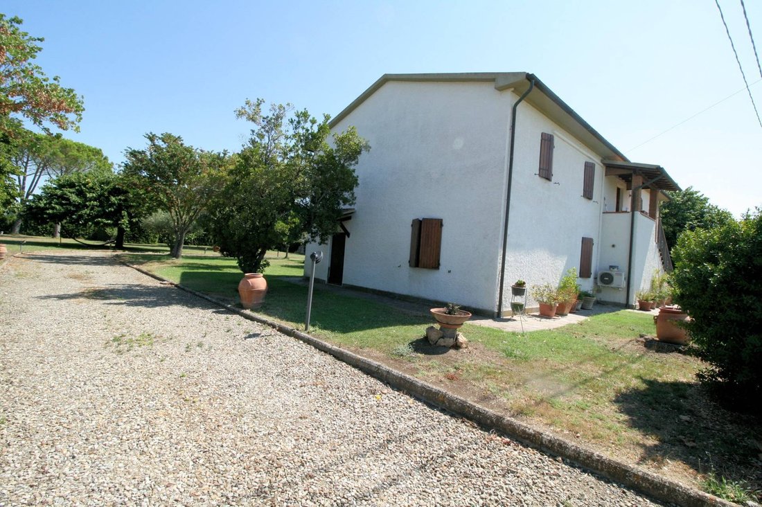 Podere Con Ampio Terreno E Piscina In Vendita A Grosseto, In Tuscany