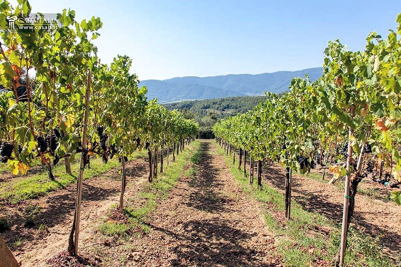 Country House in Montecatini Val di Cecina, Tuscany, Italy 1 - 12745724