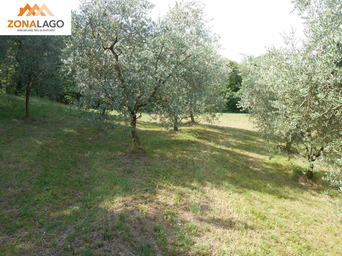 Land in Siviano, Lombardy, Italy 4 - 12749422