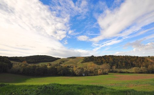 Terreno en Sinalunga, Toscana, Italia 1