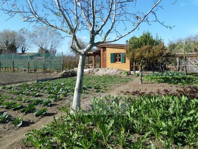 Land in Isle of Lido, Veneto, Italy 5 - 12749637
