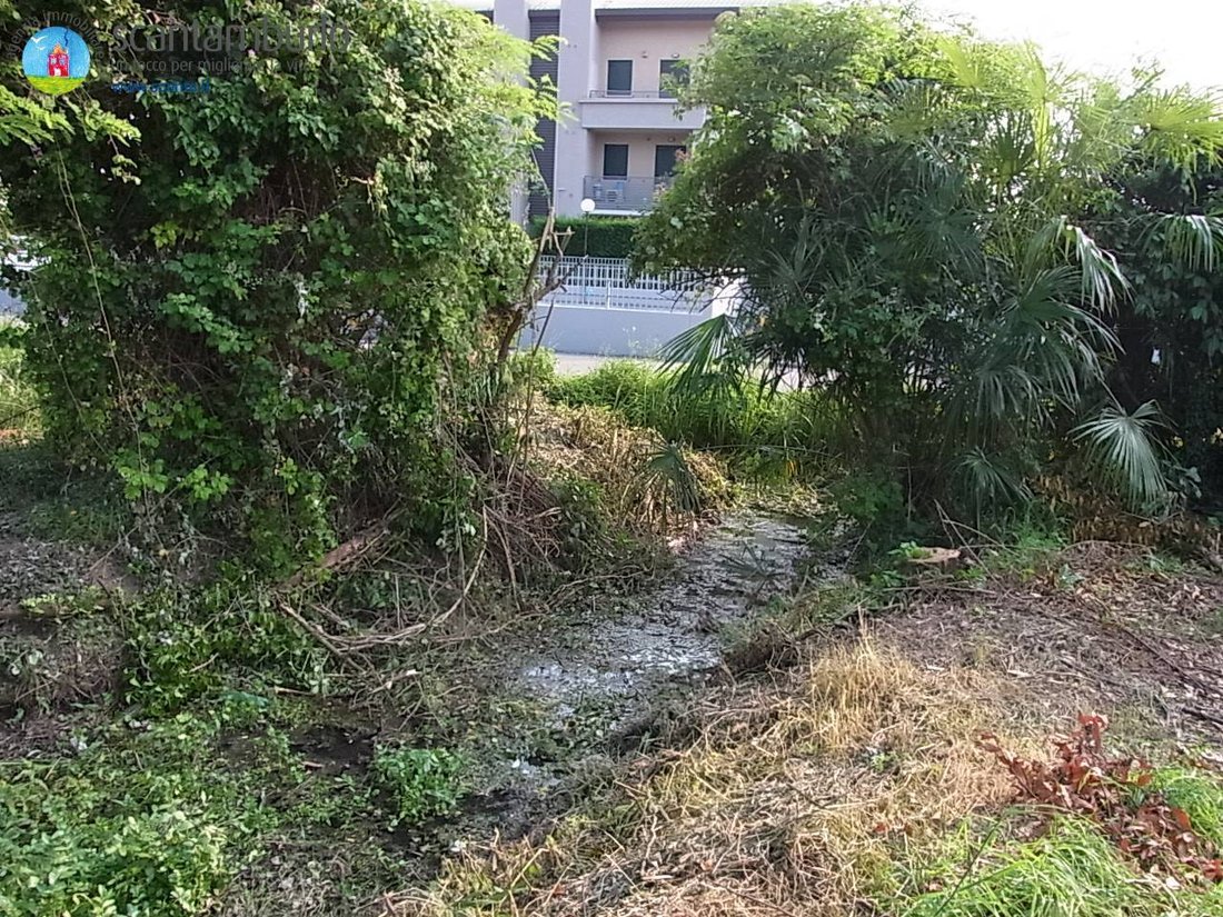 Land in San Liberale, Treviso, Italy 5 - 12749466