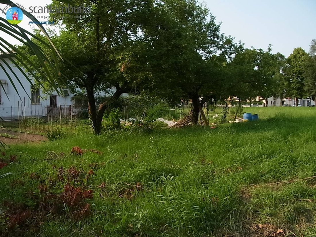 Land in San Liberale, Treviso, Italy 4 - 12749466