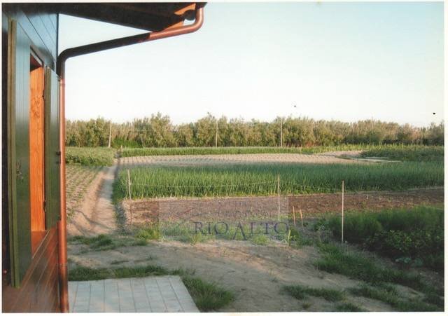 Land in Isle of Lido, Veneto, Italy 1 - 12749637