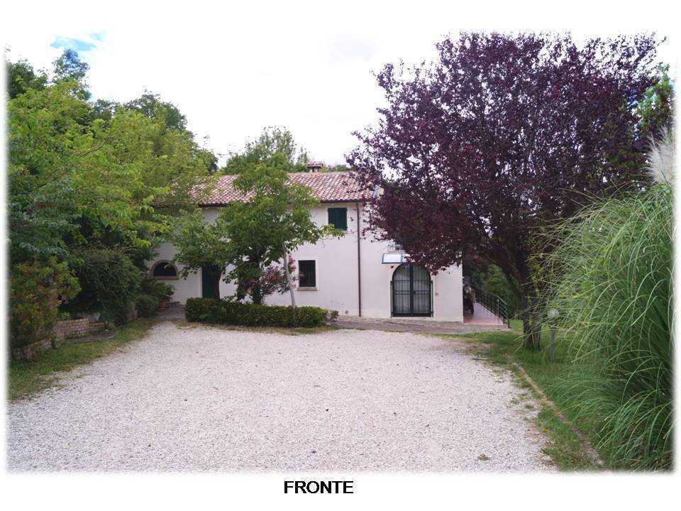 Villa in Trebbiantico, Pesaro, Marche 5 - 12749494