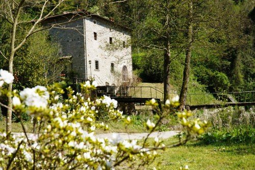 Country House in Borgo San Lorenzo, Tuscany, Italy 4 - 12749584