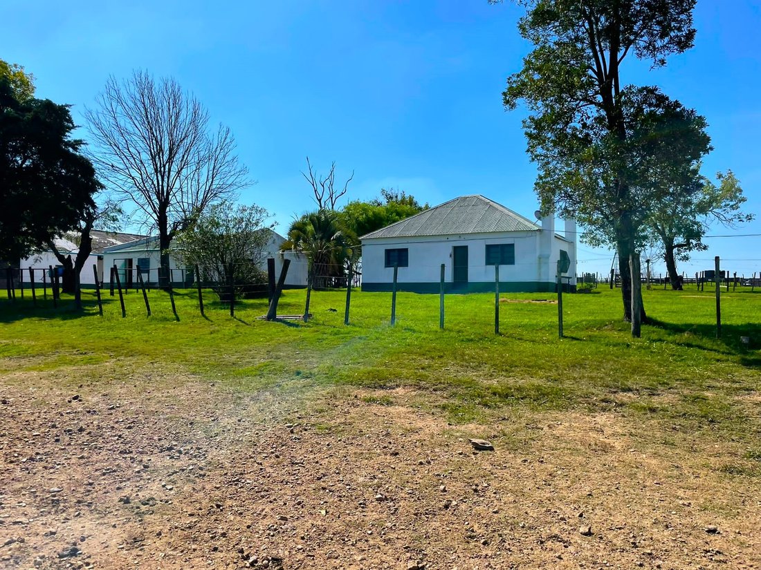 Amazing Farm In Uruguay With 9000 In Melo, Cerro Largo Department