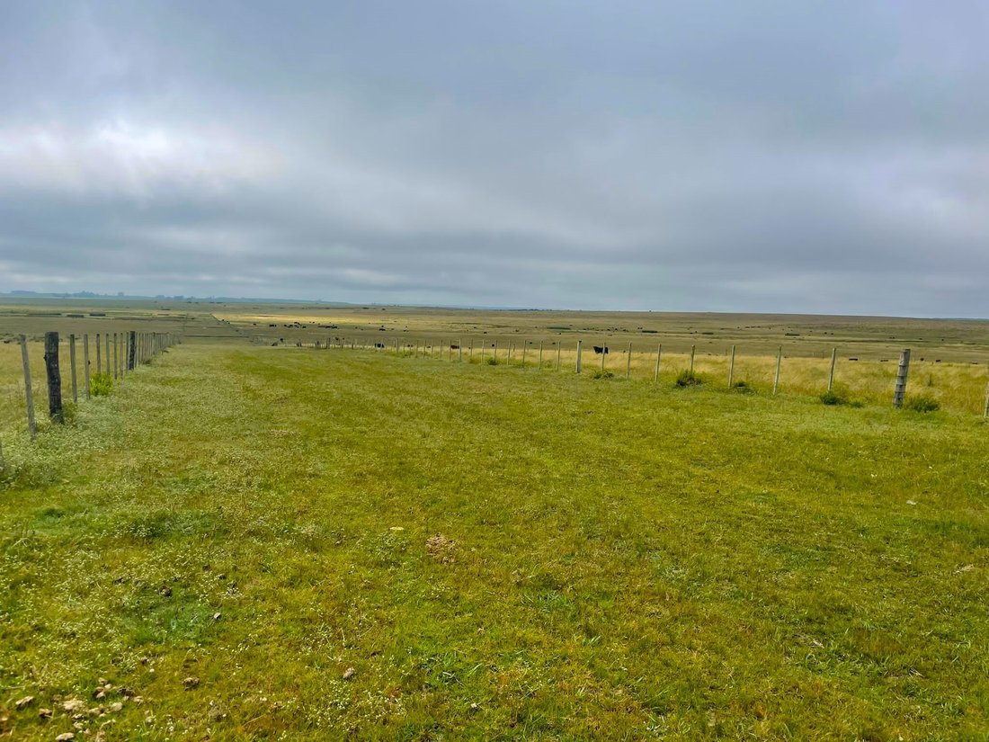 Amazing Farm In Uruguay With 9000 In Melo, Cerro Largo Department