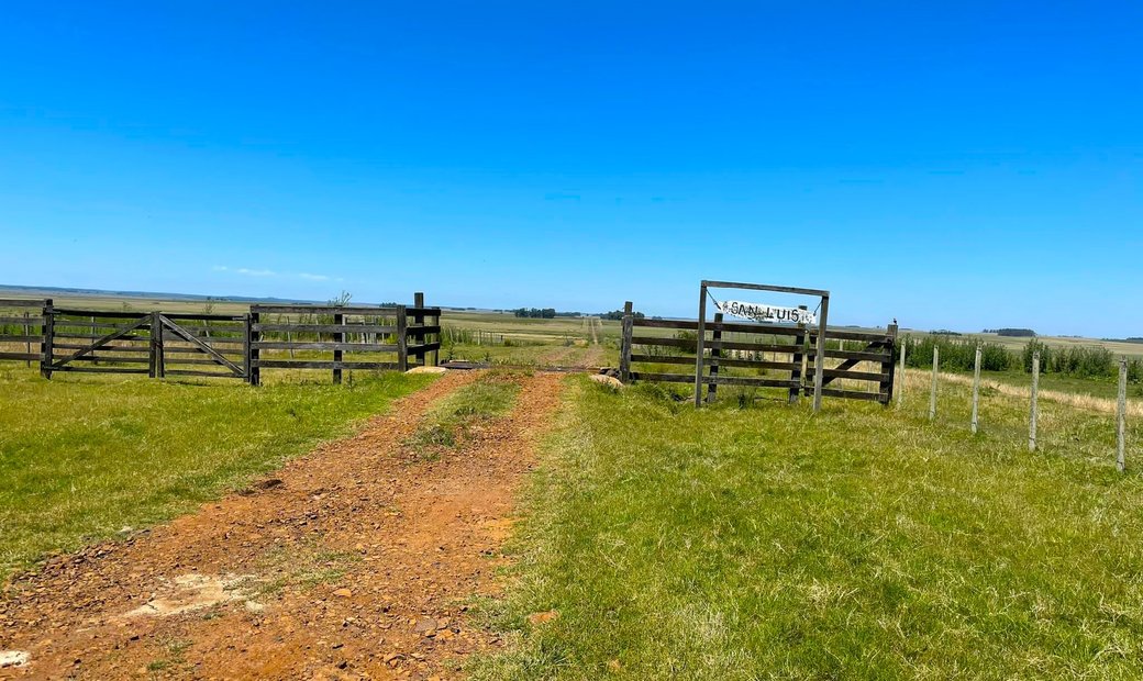 Amazing Farm In Uruguay With 9000 In Melo, Cerro Largo Department