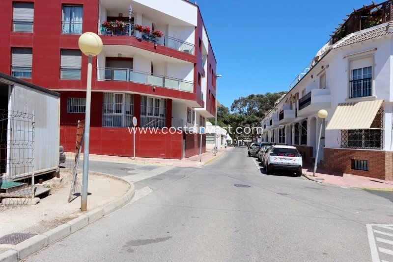 Land in Guardamar del Segura, Valencian Community, Spain 4 - 12751472